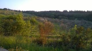 La Cantinetta di Barberino - 4