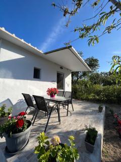 Antigone’s garden - Halikounas - 0