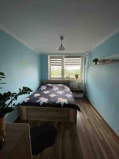 Apartament przy Parku Śląskim - Katowice - 0