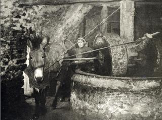 Olive oil mill - Kokkala - 1