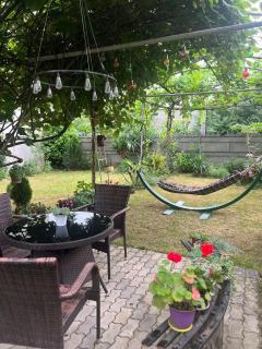 House of greenery - Koetaisi - 9