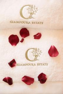 Giampoura Estate Luxury Villa - Káto Potamiá - 8
