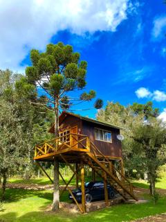 Cabanas Imbuia - Cambará - 7