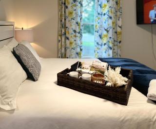 Private Luxury Framingham condo near Boston - Framingham - 1