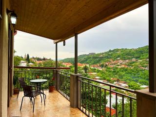 Hotel VIM in Sighnaghi - 0