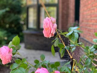 Vakantiewoning Guesthouse MOMO - Dilsen-Stokkem - 6