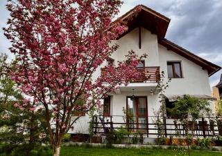 Cristina House - Braşov - 0