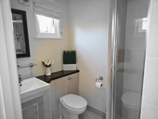 The swan at compton - Compton - 3
