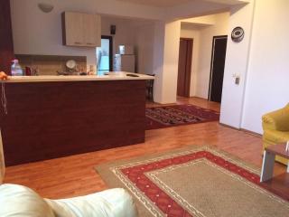 Villaweb, 3rooms ap 5min drive to center and airport - Iaşi - 2