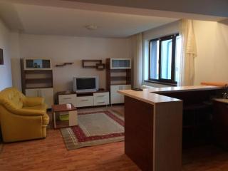 Villaweb, 3rooms ap 5min drive to center and airport - Iaşi - 0