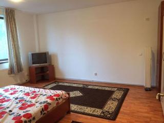 Villaweb, 3rooms ap 5min drive to center and airport - Iaşi - 1