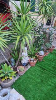 site paradis rue colibri - Avignone - 8