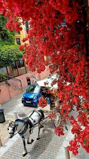 Hamam Suites Sifaka - Chania - 8