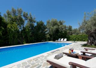 Mousses Villas - Villa Pollox con piscina privata - Lefkada - 9