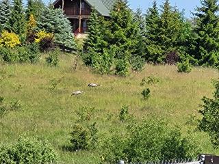 Przytulny domek w Brajnikach 86 37 - Jedwabno - 3