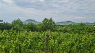 POP Tiny House Balaton - 7