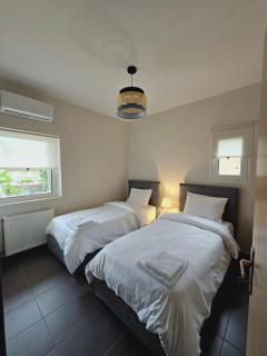 Viggas Relaxation Platanitis - 3