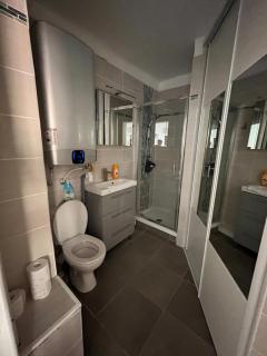 BEAU T2 RIVE GAUCHE ETAT NEUF CLIMATISE - 8