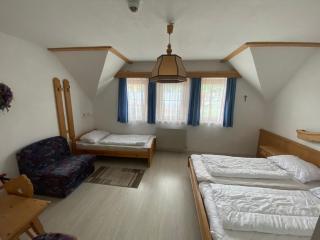 Waldschlössl Gasthof - Sankt Lorenzen ob Murau - 1