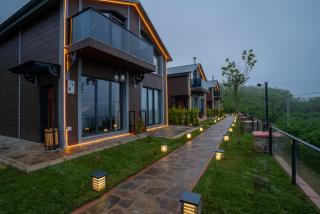 POISON GARDEN SUİTE - 3