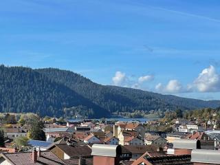 Le chalet blanc de Gerardmer avec Spa - Gérardmer - 5