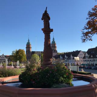 Green View, Apartment 26 - Freudenstadt - 5