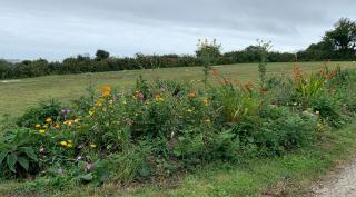 Penzance, private annexe with beautiful views. - Ludgvan - 9