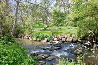 The Snug at Ascerton - 4