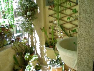 Orizzonte B&B - Cefalù - 2