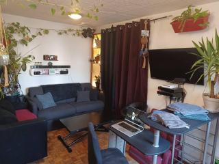 Ma Terrasse à Belleville - París - 6