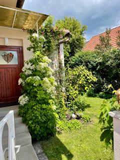 Landhaus mit Garten - Neutal - 8