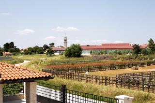 Art Villa Vodnjan - Vodnjan - 9