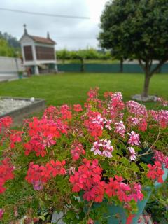 Casa/chalet en Sanxenxo 3hab. - 4