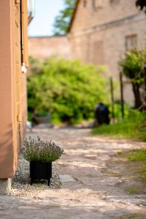 i’dille Brīvdienu māja - 5