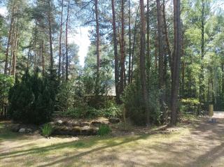 Fantastyczny domek w lesie - 5