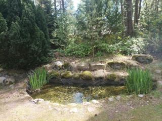 Fantastyczny domek w lesie - 3