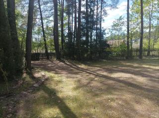 Fantastyczny domek w lesie - 6