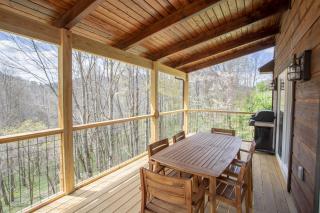Eagles and Owls Cabin - Vilas - 9