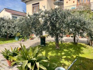Casa La Palma - Vecchiano - 5