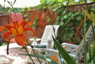 Apartment Taja, cijela kuća i vrt samo za vas - 1