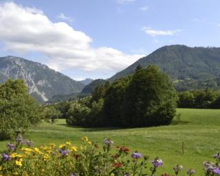 Maiergschwendter-Hof inkl. Chiemgaukarte - Ruhpolding - 2