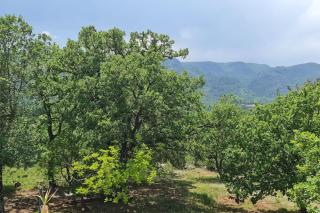 Gîte Le Lion d'Or - 8