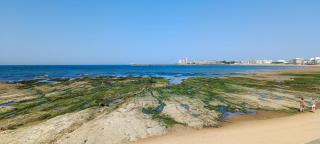 Villa Barriere - Maison a 25m de la Grande plage - 7