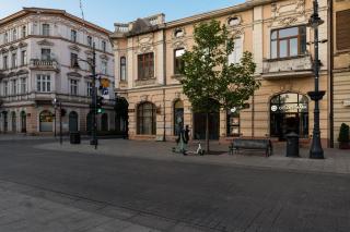 Dream Aparts - Piotrkowska 126 widok na deptak - Łódź - 9