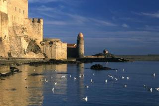 T2-au calme-terrasse-place de parking attitrée - Collioure - 3