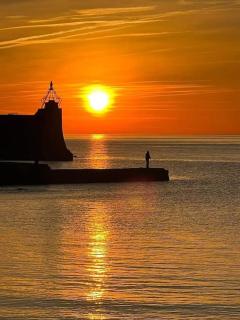 T2-au calme-terrasse-place de parking attitrée - Collioure - 1