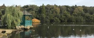 Home - Alwoodley, Leeds - 4