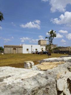 Masseria Petrore Grande di Polimeno Alessandra - Cutrofiano - 9