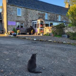 Scooniehill Farm House B&B - St Andrews - 2