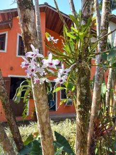 Villa dos Pássaros Paraty Hospedagem - Paraty - 3